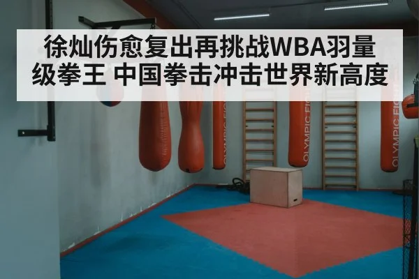 徐灿伤愈复出再挑战WBA羽量级拳王 中国拳击冲击世界新高度